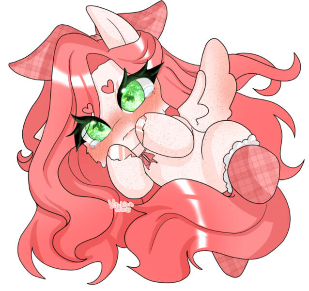 Shy Bean