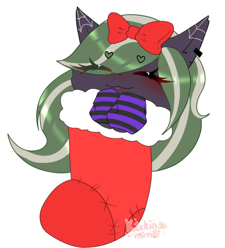 Christmas stocking