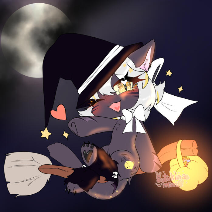 Witch Ride